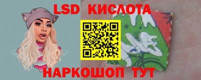 шишки Будённовск