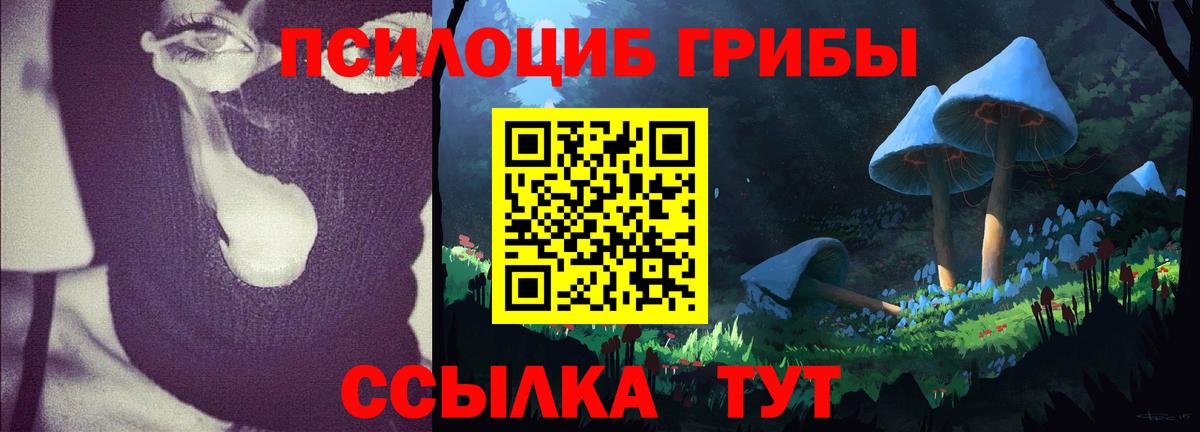Галлюциногенные грибы Psilocybine cubensis  Галлюциногенные грибы Psilocybe  Нефтекумск  Вход с VPN 